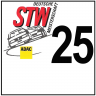 STW 1999 | National Team Slovakia | F302 Audi A4
