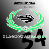 SLS AMG GT3 CUSTOMER SPORTS