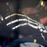 Skeleton Racing Gloves
