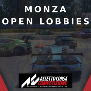 Open Lobbies at Monza | oh the pain!!! | Assetto Corsa Competizione