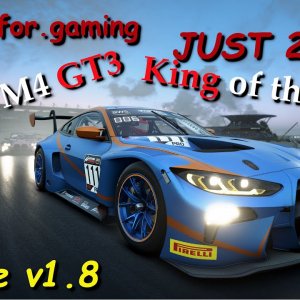 JUST 2 LAPS - Assetto Corsa Competizione - v1.8 - BMW M4 GT3 - The new King of the Ring - Wet Race